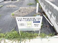 79号地