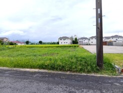 春日部市武里中野