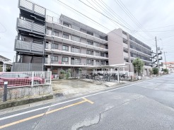 落ち着いた佇まいが、日々の暮らしに安らぎをもたらします。