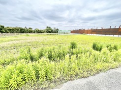 空を広く感じられる開放的な環境で、四季の移ろいを静かに楽しめる穏やかな場所です。