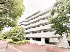 豊かな緑に囲まれ、落ち着いた街並みと調和する穏やかな佇まいの外観です。