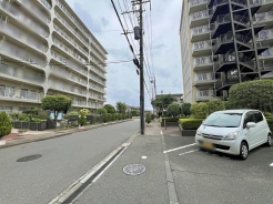 閑静な住宅街の並木道が続き、落ち着いた日常を感じさせる穏やかな街並みが広がっています。