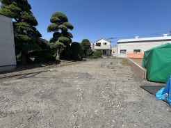1号地