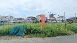 1号地