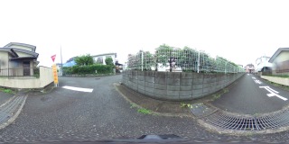 道