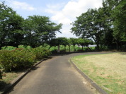 富士見ホタル親水公園