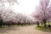 高尾さくら公園