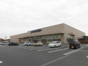 ケーヨーD2吹上店