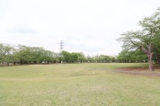 杉戸西近隣公園
