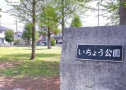 いちょう公園