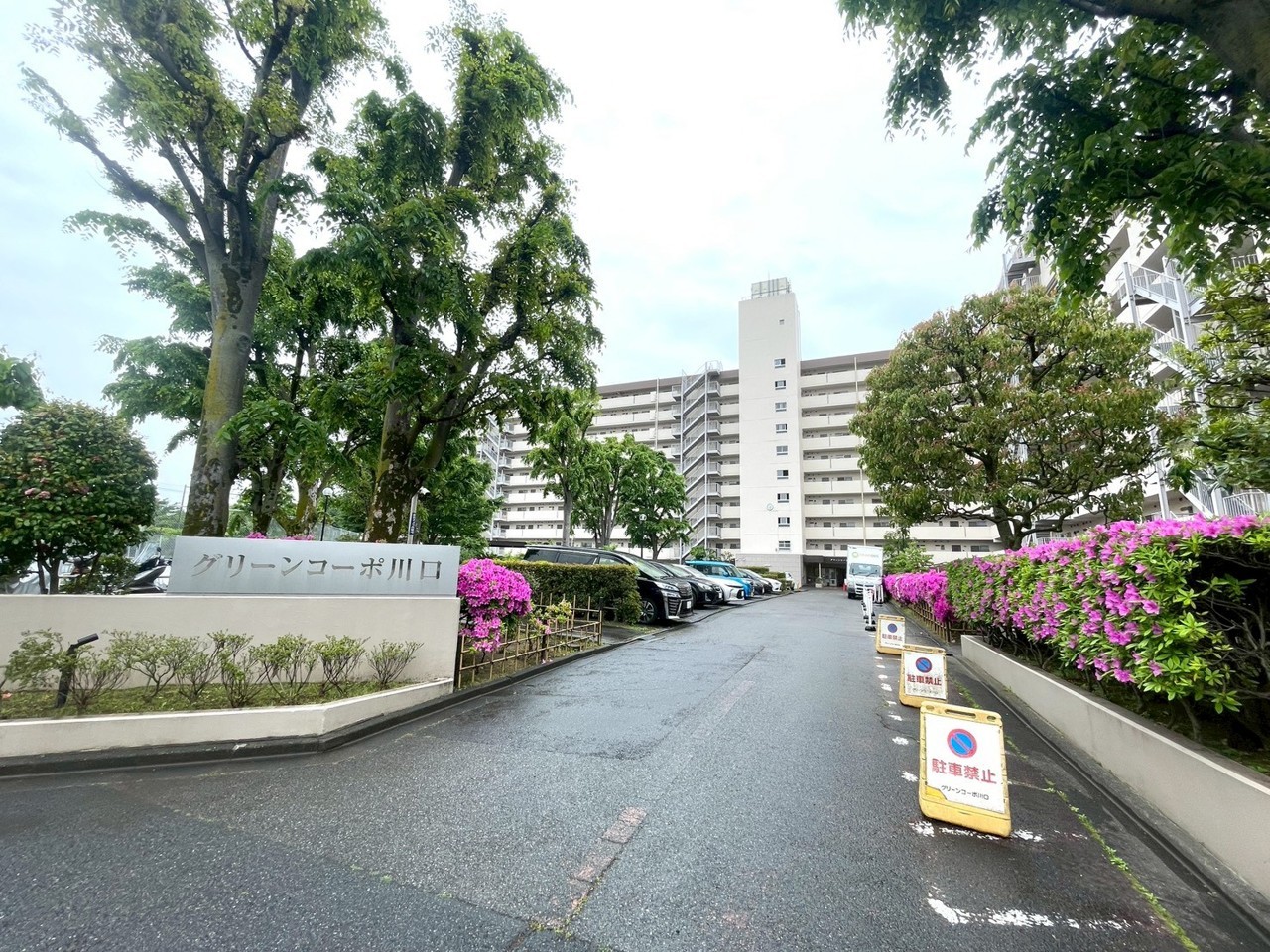 前面道路含む現地写真
